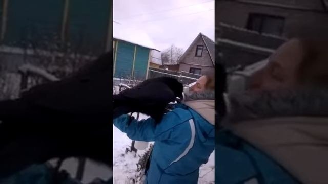Ворона разговаривает тоже умеют