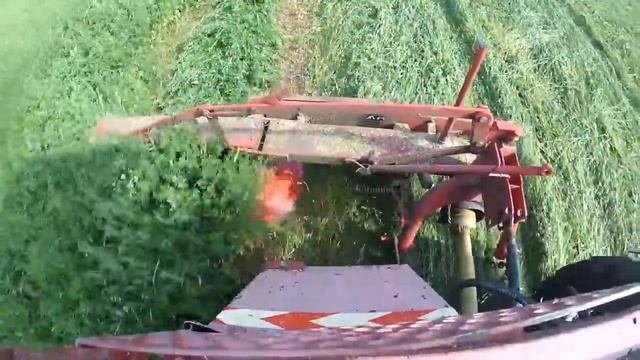 Косим сено с роторной косилкой wirax 1.65 . Трактор т-25. смотреть онлайн