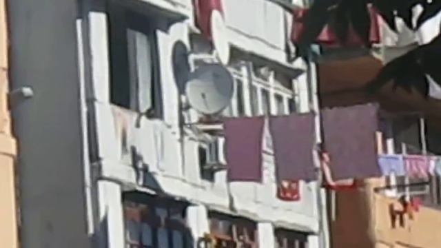 aslanabashidzis sami смотреть онлайн