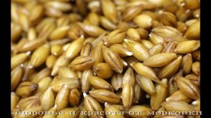 картофельный квас от 100000 болез РЕЦЕПТЫ