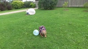 ОГРОМНЫЕ НАДУВНЫЕ ШАРЫ Giant Wubble Bubble Balloons