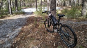 На велосипедах по Барнаулу (часть1 - через Ленточный бор)