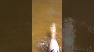 Рита научилась плавать. Как научить ребёнка держаться на воде.