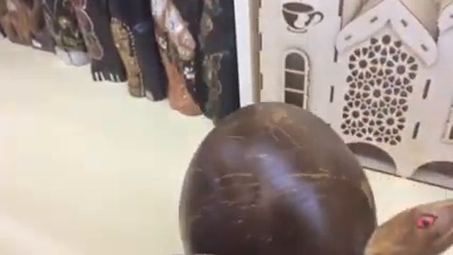 Черепаха-копилка смотреть онлайн