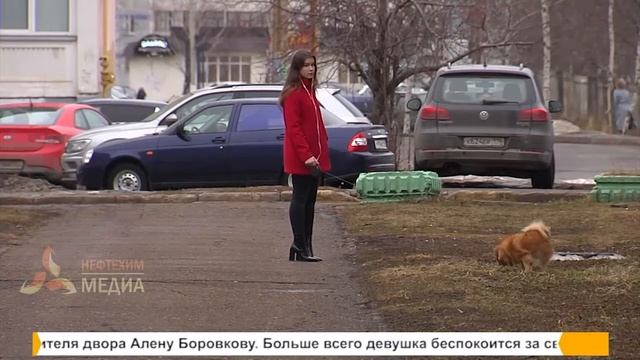 Большой ремонт придет не во все «убитые» дворы Нижнекамска смотреть онлайн