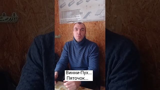 Винни-Пух... пятачок...