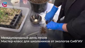 10 молодых елочек подарили экологи СибГИУ школьникам Прокопьевска