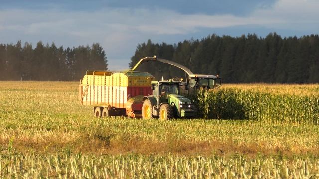 Уборка кукурузы на силос 2022.4K.