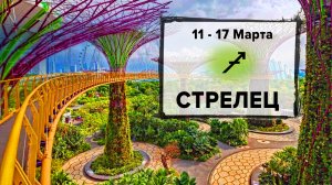 СТРЕЛЕЦ ♐ 11 - 17 Марта 2024 | Расклад таро на неделю для знака Зодиака Стрелец