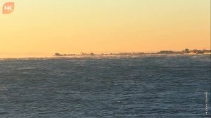 Сегодняшнее утро в Новороссийске. Море парит, косяки бакланов.. ?