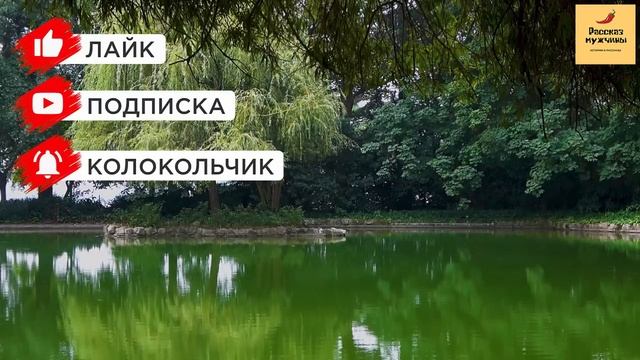Рассказ мужчины | Измена жены. Опасное соблазнение в командировке. Жестокая месть мужа. История