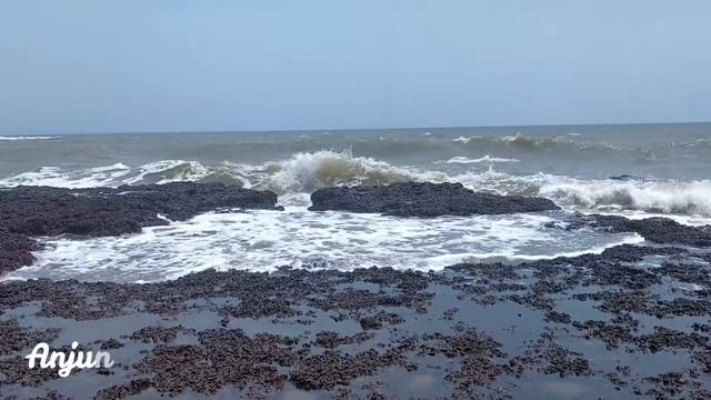 GOA VLOG | BAGA BEACH | ANJUNA BEACH | CHAPORA FORT | VILLA GOESA BEACH RESORT