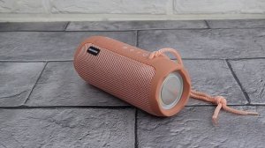 Колонка портативная BOROFONE BR21