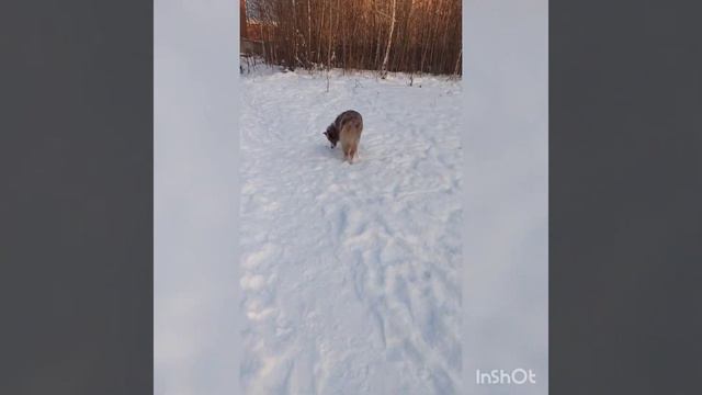 Юлия. До курса Снимай Красиво за 14 дней. смотреть онлайн