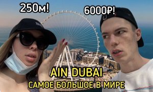 ДУБАЙ: КОЛЕСО AIN DUBAI ??