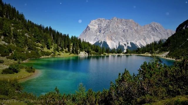 Принимая роды в лесу у незнакомки, егерь был в шоке, увидев кого она родила...