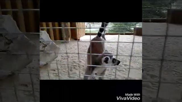 Бахчисарайский парк миниатюр обзор смотреть онлайн