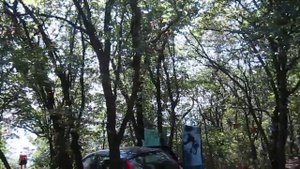 Автокемпинг Криница Краснодарский край