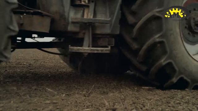 ИДЕАЛЬНЫЕ ВСХОДЫ НЕ ЗАВИСЯТ ОТ ПОГОДЫ!