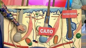 Жить здорово! Выпуск от 21.07.2014