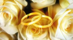 Футажи для видеомонтажа фон обручальные кольца