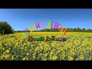 ПОЕЗДКА В ДЕРЕВНЮVLOG Манцуршок