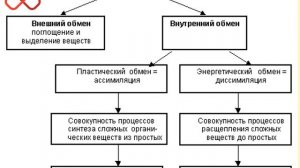 Биология как наука, её достижения, методы познания живой природы.