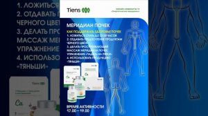 Меридиан почек.