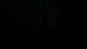 Электрический лифт V=1 м-с, грузоподъемность 320 кг (72)