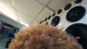 Реакция Ежа.Треш Обзор. Самые Громкие за Свои Деньги. Бюджетные Динамики Edge Pro Lite. Обзор От Еж