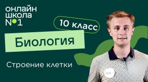Строение клетки. Биология 10 класс. Видеоурок 9