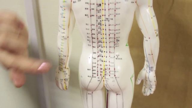 Как Биокоррекционная Одежда Влияет на Ваше Здоровье? Одежда, о которой нужно знать. Говорит ЭКСПЕРТ смотреть онлайн