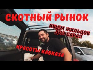 КУПИЛ ДОМ В ДЕРЕВНЕ | ЖИВЕМ НА КАВКАЗЕ | СКОТНЫЙ РЫНОК #купилдомвдеревне #живемнакавказе #хутор