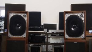 YAMAHA NS-250