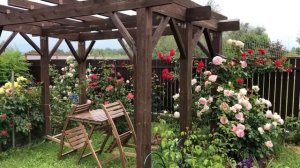 Как оформить сад розами.?