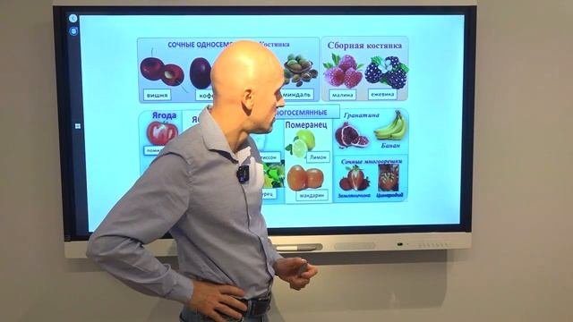 Интересно о плодах. Классификация плодов