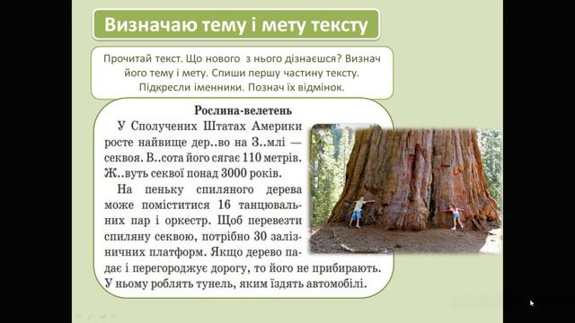 Визначаю тему і мету тексту. 4 клас смотреть онлайн