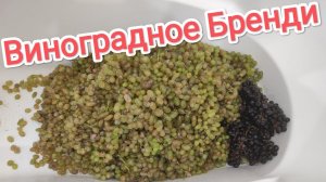 Виноградное Бренди или НАШ коньяк.