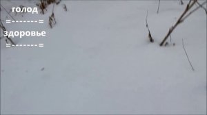 Rust в реальной жизни