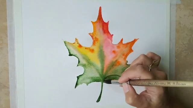 Кленовый лист
