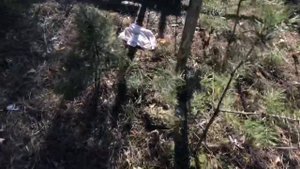 "Кладбищенское (погостное) колдовство. Опасность выходящая из гроба!"