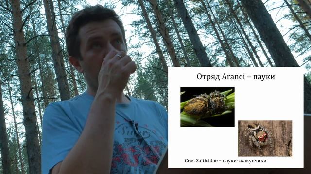 Day5 Spiders etc смотреть онлайн