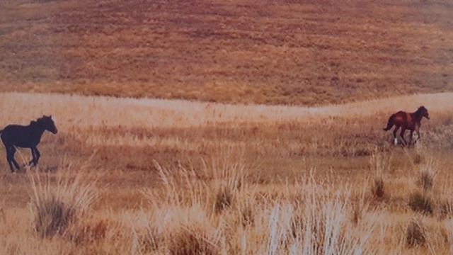 1 Глава - Петербургский посол (А.Сергеев) смотреть онлайн