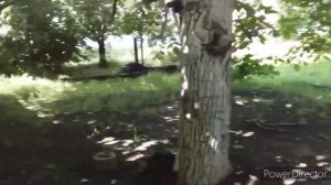 Цены на Дома в Краснодарском Крае///Посмотрели Дом У Реки в Станице/ Дом на Юге