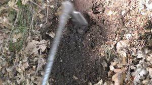 Лесные зарисовки от Штальхельма.40