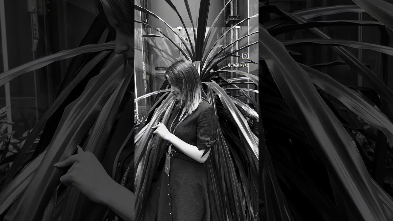 Хокку о страховании #страхованиежизни