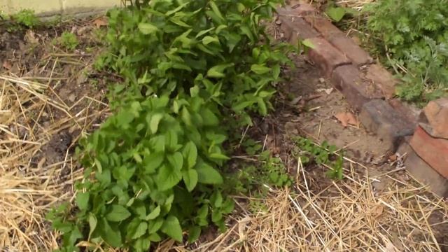 F-150 Fun, Git'n-R-Done! смотреть онлайн