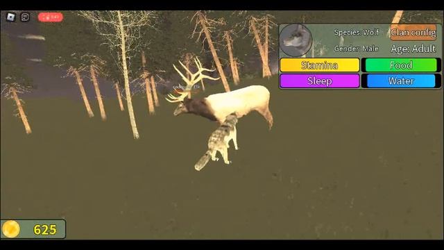 Hunting elk as wolf ROBLOX Yellow Stone Unleashed смотреть онлайн