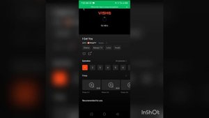 Visha player setting