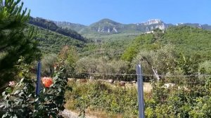 Шале  и розы  в горах  Италии.Прогулка по саду, инжир, жара... ( часть первая).